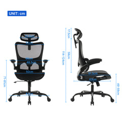 High Back Ergonomic Office Chair