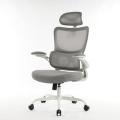 High Back Ergonomic Office Chair