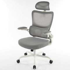 High Back Ergonomic Office Chair