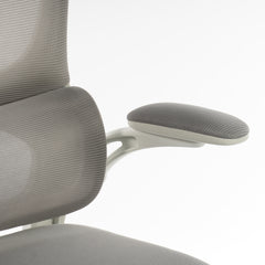High Back Ergonomic Office Chair