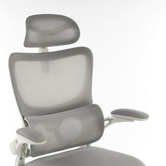 High Back Ergonomic Office Chair