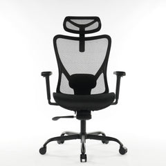 Ergonomic Office Chair Black Mesh