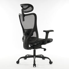 Ergonomic Office Chair Black Mesh