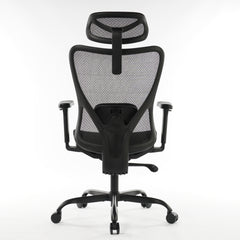 Ergonomic Office Chair Black Mesh