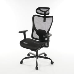 Ergonomic Office Chair Black Mesh