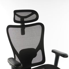 Ergonomic Office Chair Black Mesh
