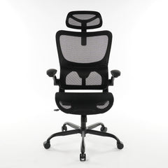 High Back Ergonomic Office Chair