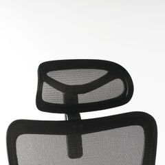 High Back Ergonomic Office Chair