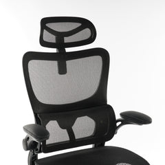 High Back Ergonomic Office Chair