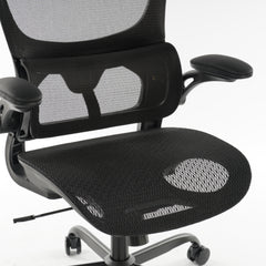 High Back Ergonomic Office Chair