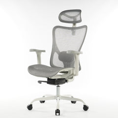 Premium Ergonomic Office Chair Grey Mesh