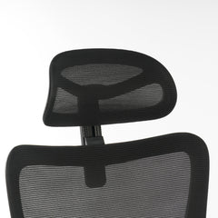 High Back Ergonomic Office Chair